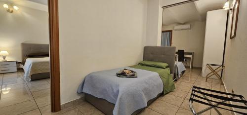 KING APARTMENT and SUITE