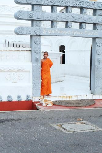 Orchard House Galle - image 2