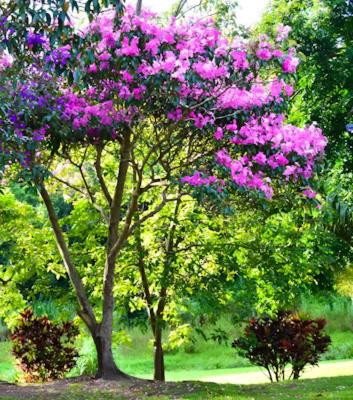 Club Med 23 in Hibberdene