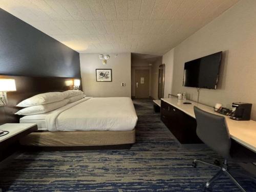 Delta Hotels by Marriott Detroit Metro Airport - image 6