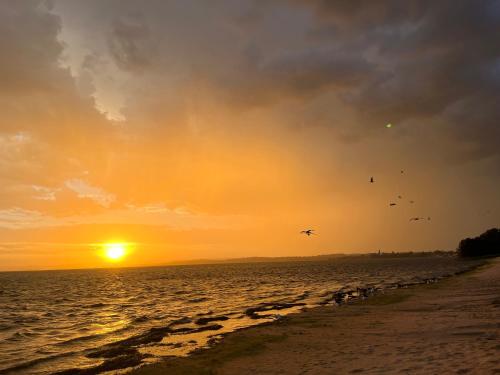 Alrededores, Unique lakefront glamping in Canton Beach