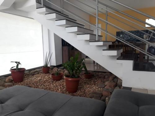 ótimo triplex com piscina no terraço ótimo triplex com piscina no terraço