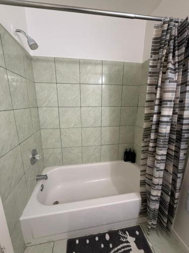 Flowers Apt 5 Min Walk to Downtown - Free Parking, Las Vegas (photo 4)