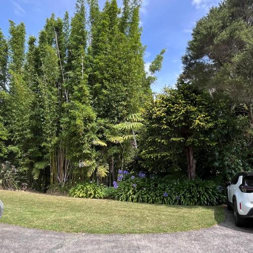 حديقة, Kitchen Garden Studio Bed and Breakfast in Titirangi