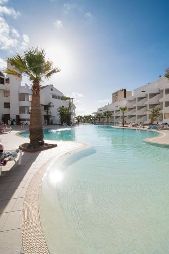 Paloma Beach Apartments - image 10