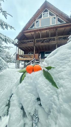 Ранчо в Карпатах, Bukovel (fotografie 6)