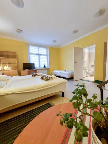 Pod starymi lipami in Zachod