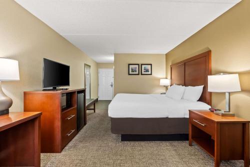Comfort Inn & Suites Panama City - St Andrew - image 6