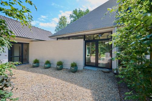 Вид, The Oak in Вавре