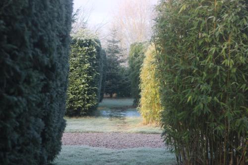 Hookwood Lodge