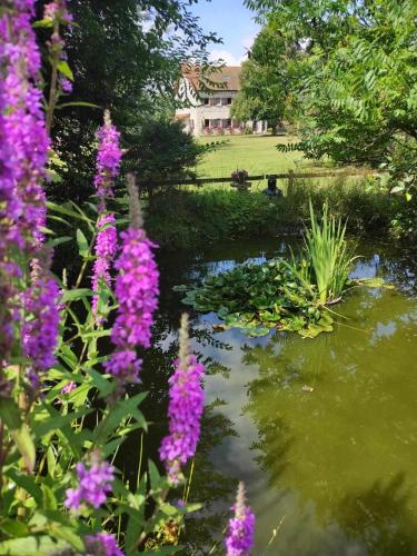 La Roulotte du Parc La Roulotte du Parc