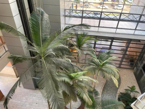 אוקיינוס במרינה אוקיינוס במרינה