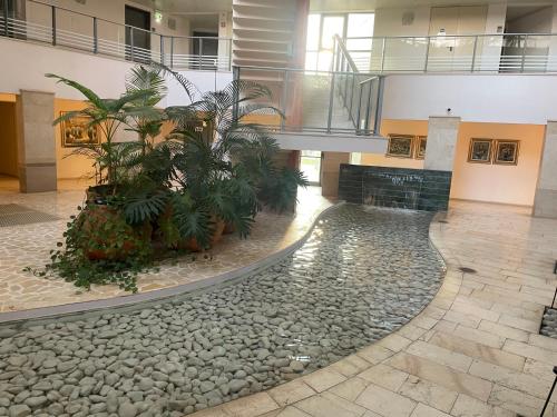 אוקיינוס במרינה אוקיינוס במרינה