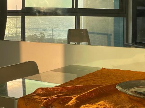 אוקיינוס במרינה אוקיינוס במרינה