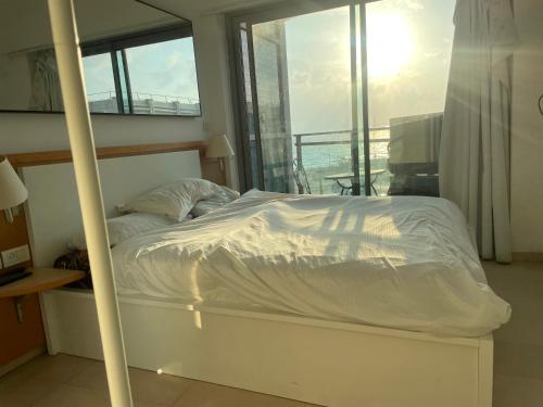 אוקיינוס במרינה אוקיינוס במרינה