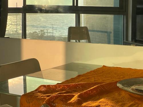 אוקיינוס במרינה אוקיינוס במרינה