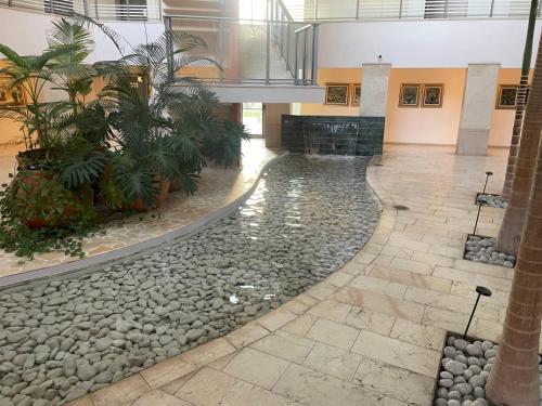 אוקיינוס במרינה אוקיינוס במרינה