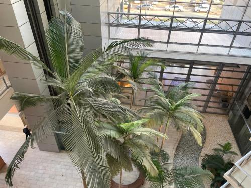 אוקיינוס במרינה אוקיינוס במרינה