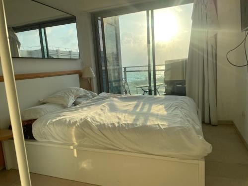 אוקיינוס במרינה אוקיינוס במרינה