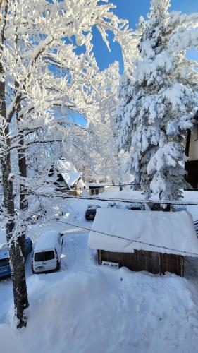 Apartment Vila MIA Jahorina in Jahorina