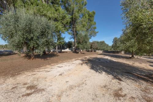 Masseria Le Arcate – Ostuni, AR