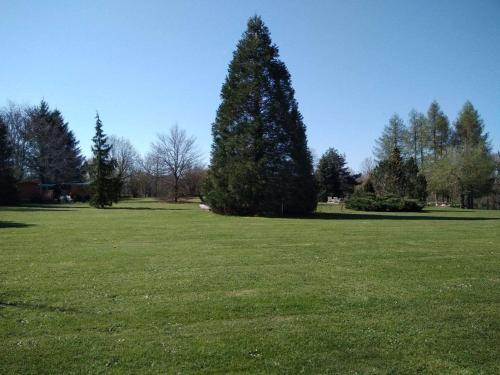 La Roulotte du Parc La Roulotte du Parc