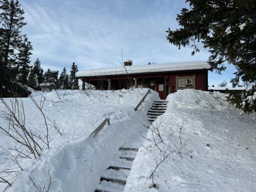 Trysilfjellet Nord 509 Trysilfjellet Nord 509