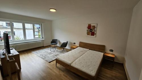 Cozy studio near train station - Wille 7, Curych (fotografie 8)