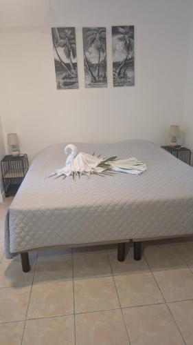 Enjoy Studio, Pointe-Noire (fotografie 6)