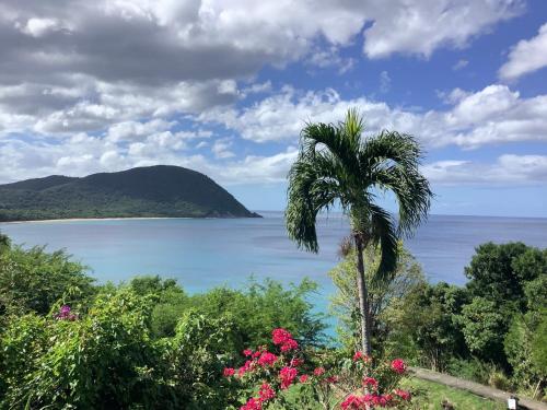 VILLA ALIZEE Logement 1 in Sainte Rose