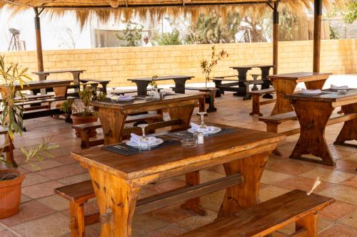 Le Petit Palais Djerba & Spa