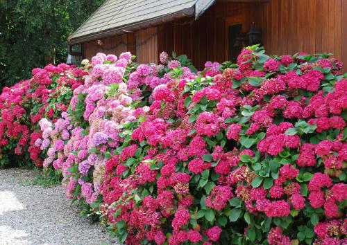 Chambres d'hotes du creulet