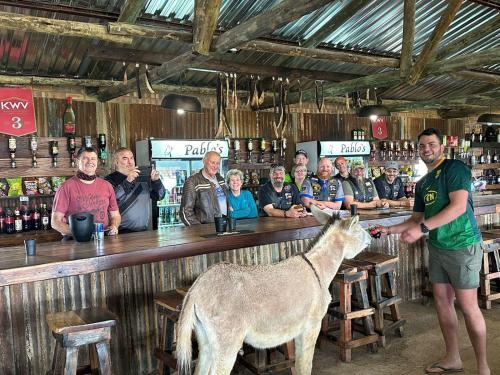 bar/salon, The Wool House & Pablo's carolina in Carolina