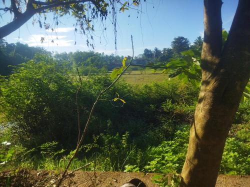 Rent home in Kaduwela