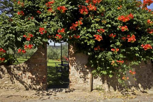 Fattoria Poggio Capponi Room Type - Apartment - Ground Floor - Separate Building Fattoria Poggio Capponi Room Type - Apartment - Ground Floor - Separate Building