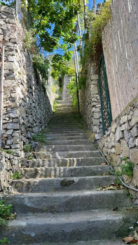 Colle dell'Ara - image 4