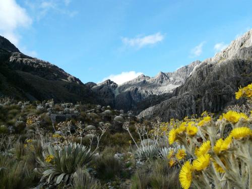 Chalet in El Potrero
