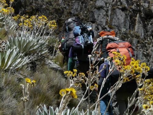Chalet in El Potrero