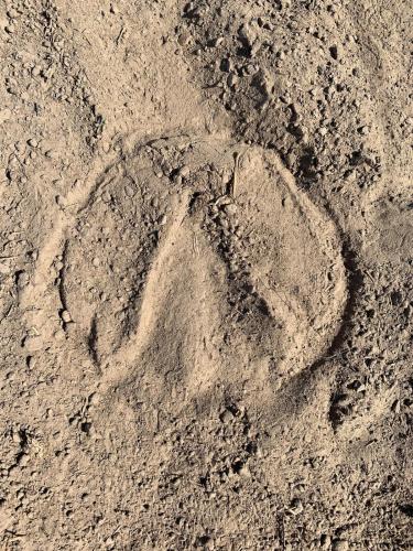 Farmhouse Apartment with Paddock & Orchard Views Farmhouse Apartment with Paddock & Orchard Views