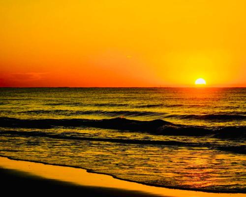 Boardwalk Beach Resort - image 8