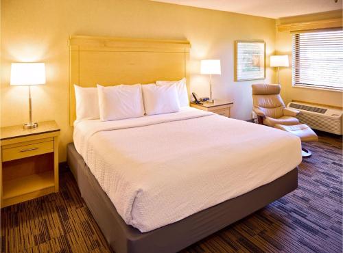 1 king bed