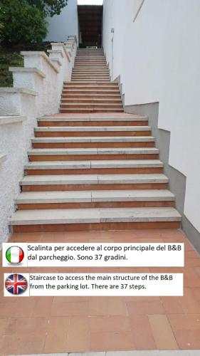 B&B Casabianca Palinuro 3