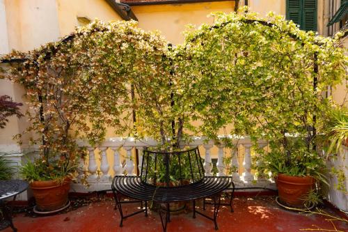 La Foresteria di Palazzo Picedi Benettini 4