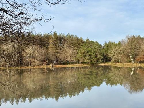 Kert, Domaine en Sologne "Les 40 Chênes" (Domaine en Sologne "Les 40 Chenes") in Selles-Saint-Denis