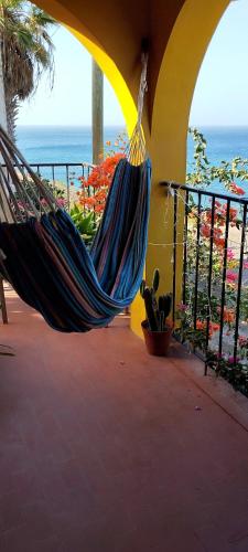 Rose`s place in 明德卢