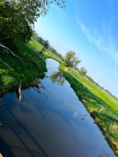 周邊環境, Ferienhaus Lion in 諾伊斯塔特-格萊韋