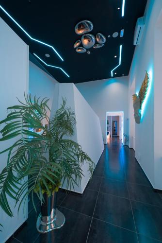 Skyhouse Chiaia - image 7