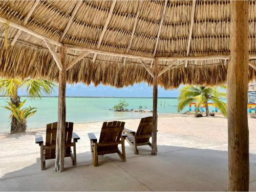 playa, Orchid Bay Resort in Orchid Bay