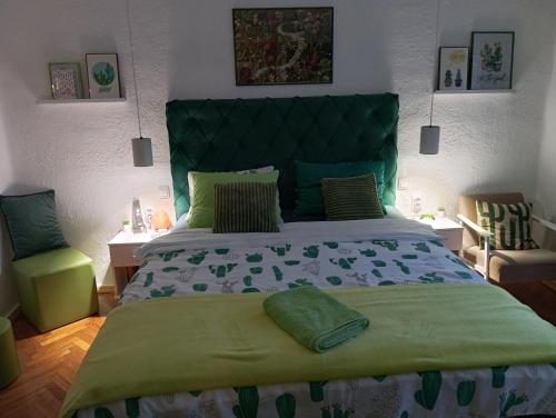 Green Cactus Rooms - unique and cozy house in Senta