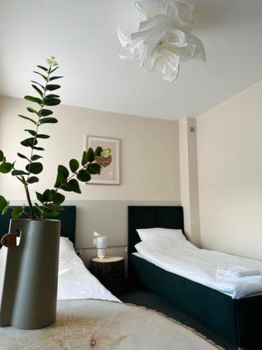 Green B&B Bed and Breakfast in Зелена-Гура